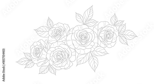 Elegant Line Drawing of a Floral Rose Bouquet with Detailed Leaves for Art and Design Projects