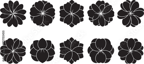 Black floral designs on white background