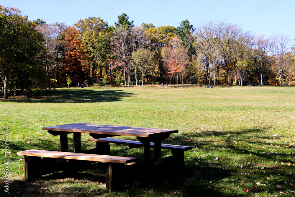 Obraz premium Autumn leaves and rich fall colors across Quebec landscapes, highlighting seasonal beauty and nature.