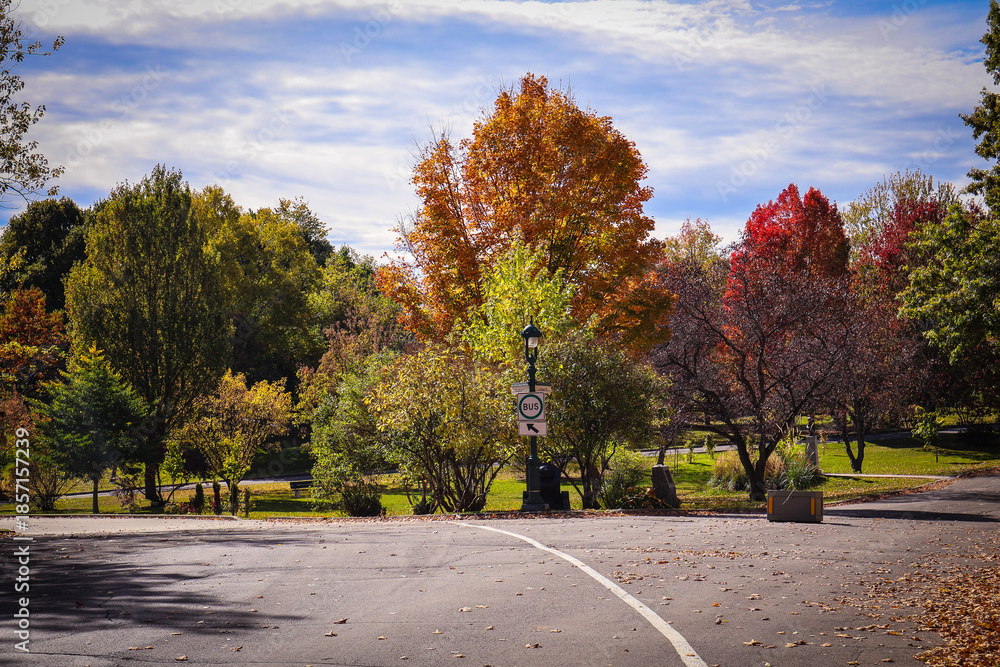 Obraz premium Autumn leaves and rich fall colors across Quebec landscapes, highlighting seasonal beauty and nature.