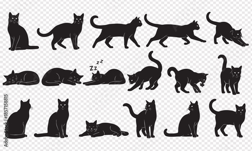 Collection of black cat silhouettes in various poses isolated on transparent background