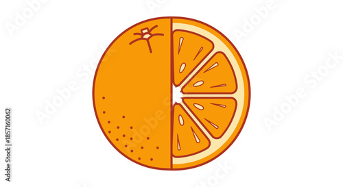 Colorful Illustration of an Orange Fruit, Whole and Sliced for Freshness