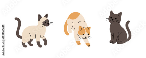 Set of cartoon cats in different poses. Flat vector collection of cute felines for playful children themes