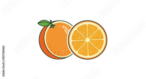 Colorful Illustration of Oranges Showing Whole and Cross-Sectional View for Healthy Fruit Display