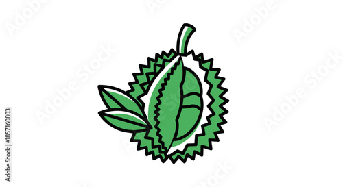 Stylized green leaf with jagged edges representing botanical illustration for nature themes