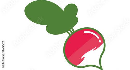 Minimalist Illustration of a Radish with Green Leaves and Red Root in Simple Style
