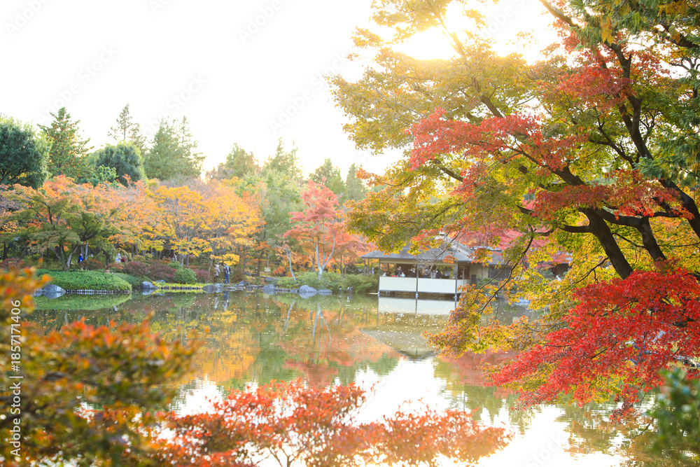 Obraz premium Autumn Foliage Framing a Traditional Japanese Pavilion by the Pond