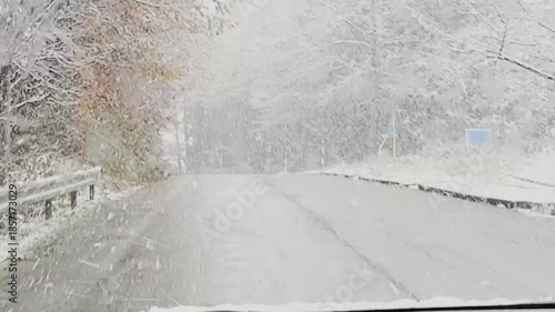 冬　雪が降る　車載動画　自動車の走行　雪景色　道路　交通　イメージ