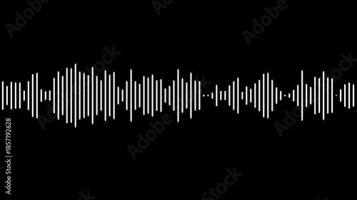 abstract audio wave visualization on black background. white line audio wave visualization voice record,
audio waves rhythm isolated on black background, Black audio waveform spectrum animation.