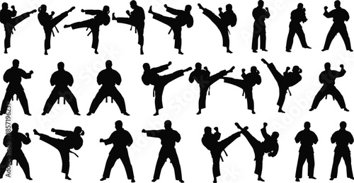 Martial arts fighting silhouettes collection, karate and taekwondo kicking poses, combat training movements, self defense sport illustration, black warrior figures vector set