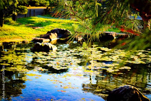 autumn leaves in water Japan History Temple View