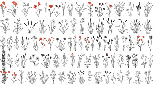 Large collection of hand-drawn meadow flowers and grasses in a rustic sketch style with delicate red and black accents.