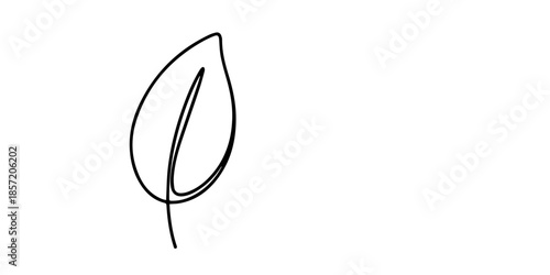 hand drawn leaf icon illustration with single line doodle concept vector, One continuous line leaf. Linear plants. Hand drawing leaves. Vector 10 Eps. Description: Black leaf in one line art style. 