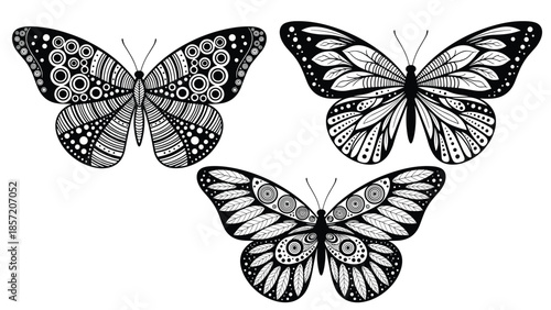 Set of three intricately patterned butterflies in a black and white zentangle or doodle style for coloring or decoration.