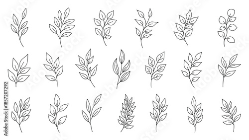 Large set of various hand-drawn branches with leaves in a clean and simple black and white outline style for botanical design.