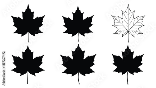 Set of six maple leaf designs, including five black silhouettes and one detailed line art drawing, isolated on white.