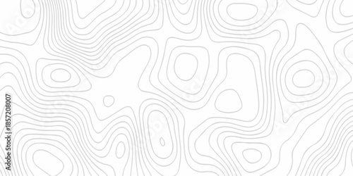 Contour abstract map relief land outline. Topographic map patterns. White wave paper curved reliefs abstract background. Background of the topography map. Abstract pattern with lines.