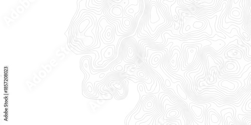 Contour abstract map relief land outline. Topographic map patterns. White wave paper curved reliefs abstract background. Background of the topography map. Abstract pattern with lines.