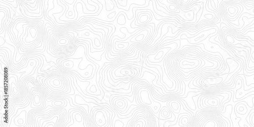 Contour abstract map relief land outline. Topographic map patterns. White wave paper curved reliefs abstract background. Background of the topography map. Abstract pattern with lines.