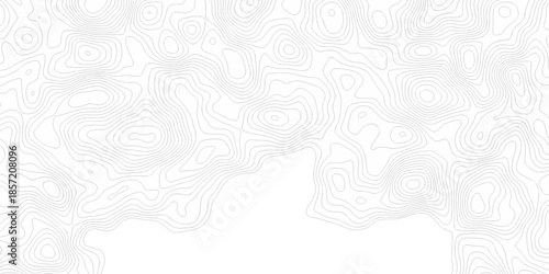 Contour abstract map relief land outline. Topographic map patterns. White wave paper curved reliefs abstract background. Background of the topography map. Abstract pattern with lines.