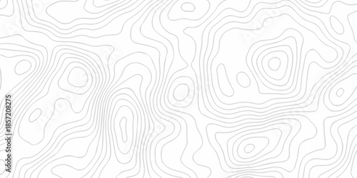 Contour abstract map relief land outline. Topographic map patterns. White wave paper curved reliefs abstract background. Background of the topography map. Abstract pattern with lines.