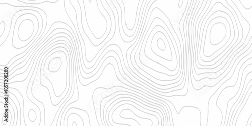 Contour abstract map relief land outline. Topographic map patterns. White wave paper curved reliefs abstract background. Background of the topography map. Abstract pattern with lines.