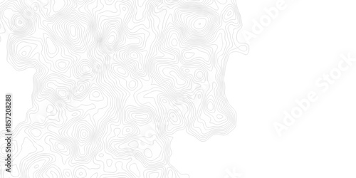 Contour abstract map relief land outline. Topographic map patterns. White wave paper curved reliefs abstract background. Background of the topography map. Abstract pattern with lines.