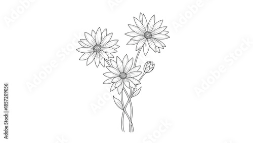A charming hand-drawn bouquet of three daisy-like flowers with a bud, sketched in a simple black and white line art style.