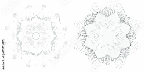 Intricate floral patterns in grayscale a symmetrical abstract design study