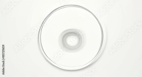 Abstract Expanding Circular Ripples and Concentric Rings on White Background