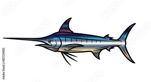 Illustration of a marlin fish swimming