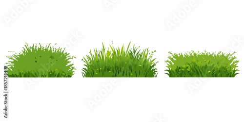 A collection of three vibrant green grass tufts against a white background