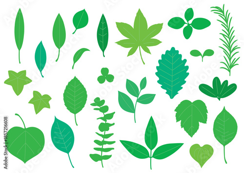 シンプルな緑色の葉っぱセット