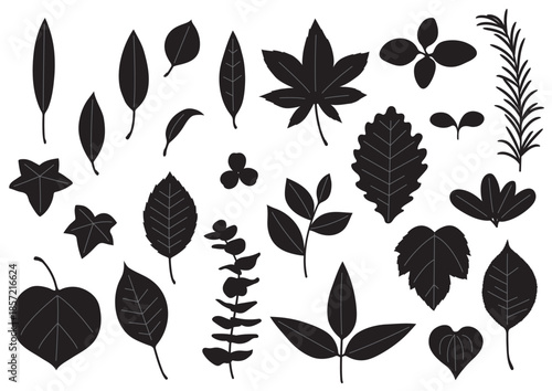 シンプルな葉っぱセット