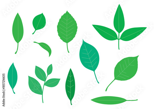シンプルな緑色の葉っぱセット