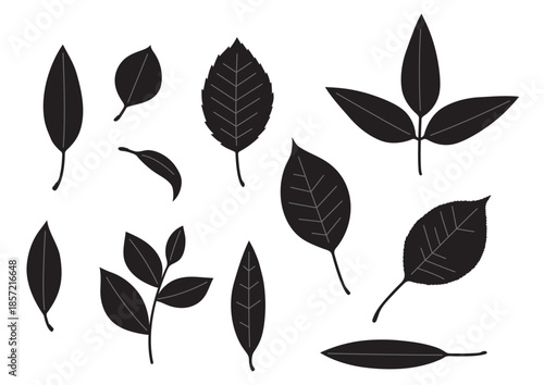 シンプルな葉っぱセット