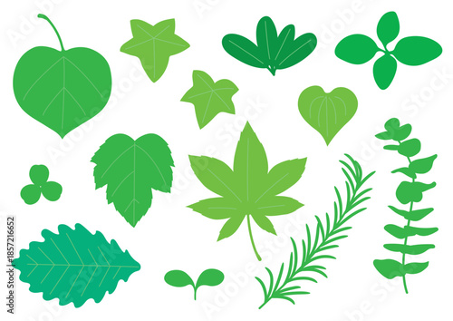 シンプルな緑色の葉っぱセット