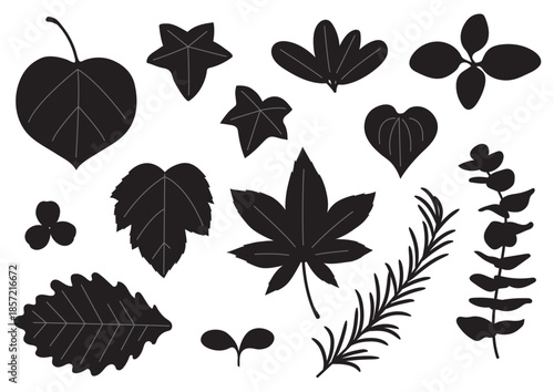 シンプルな葉っぱセット