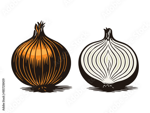 Whole and sliced yellow onion illustration in vintage woodcut style.