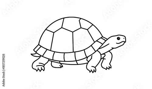 Flat turtle vector illustration isolated on white background for wildlife designs