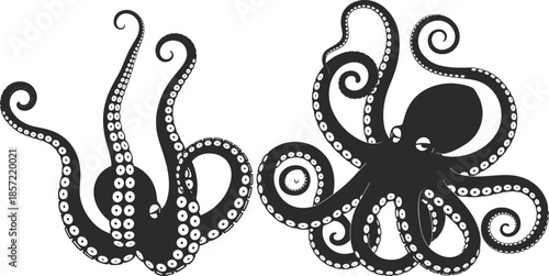 Two stylized black and white octopus illustrations with curled tentacles, suction cup details, marine life artwork for design and decoration