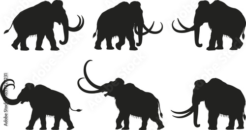 Collection of six black woolly mammoth silhouettes with curved tusks, shaggy bodies, and prehistoric animal poses for education and design