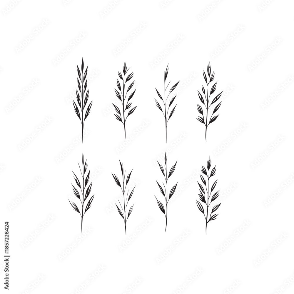 Obraz premium Little Bluestem icon line art natural element