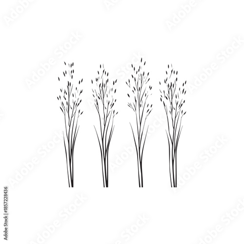 Little Bluestem icon line art natural element