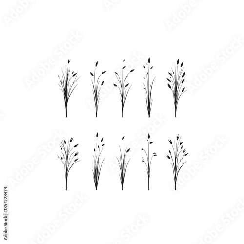 Little Bluestem icon line art natural element