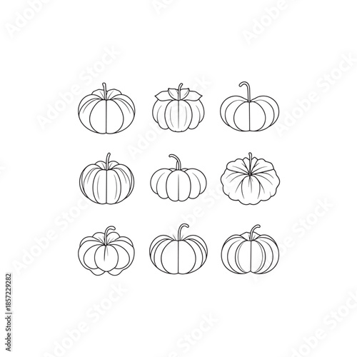 Mallow icon line art botanical plant