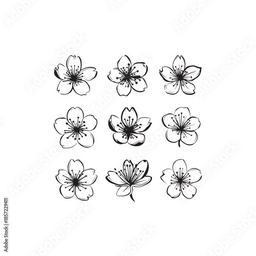 Manuka icon line art botanical element