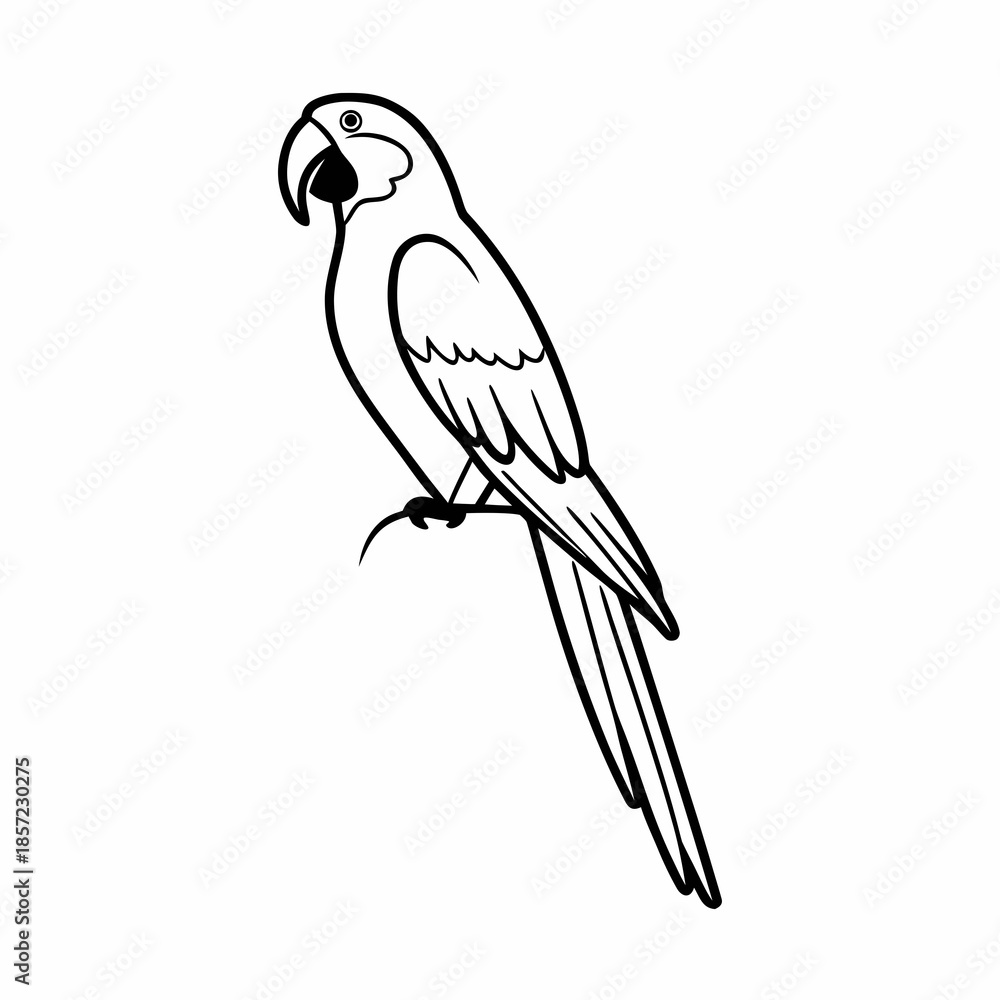 Fototapeta premium Parrot Vector Illustration Minimal Flat Style Cl (1) vector illustration design 81