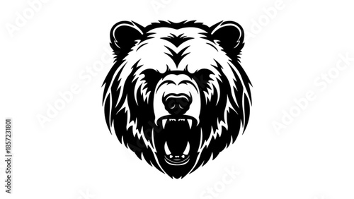 vector illustration of head bear