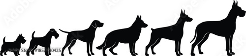 Dog growth stages silhouettes from puppy to adult showing canine development, size progression, and domestic animal life cycle concept